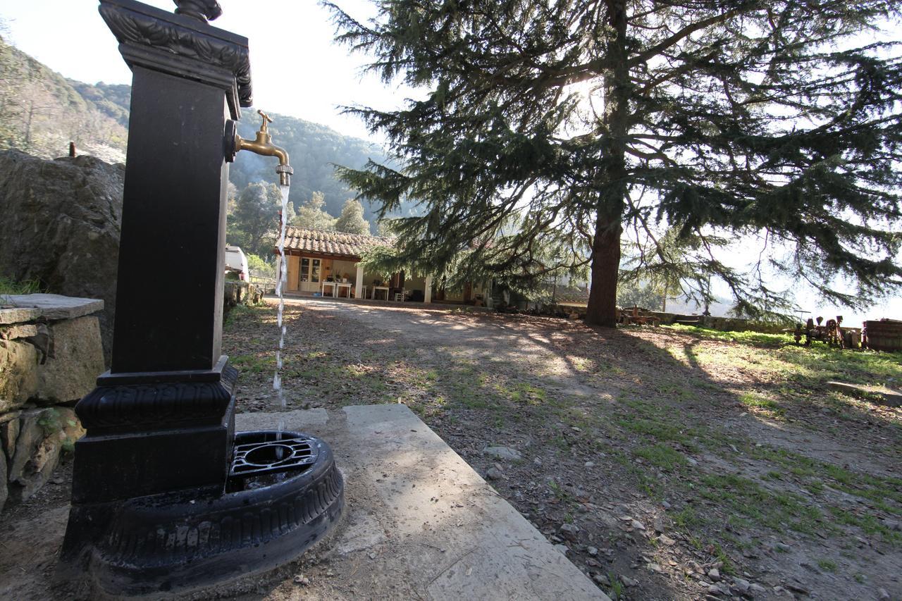 Bed and Breakfast Fonte Di Zeno Marciana  Exterior foto